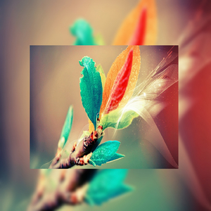 巧露影视免费观看电视剧的优点
