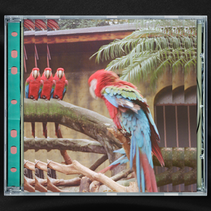 巧露影视免费观看电视剧的优点
